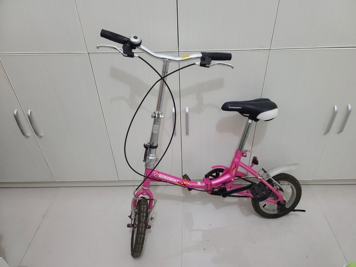 GOGOBIKE折叠自行车12寸小轮儿童学...