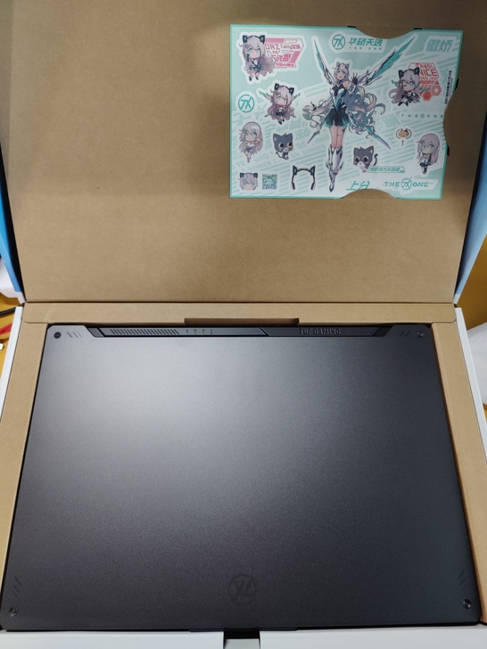 华硕天选2 PLUS FX706 HM 1...