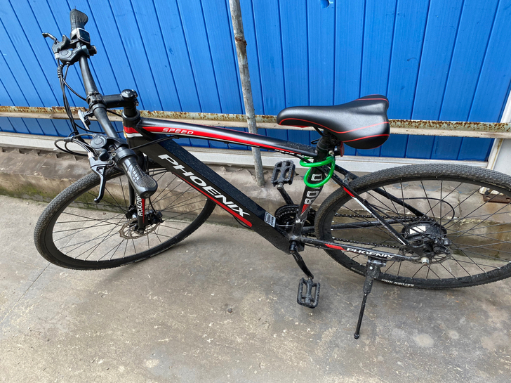 Phoenix/凤凰 电动自行车