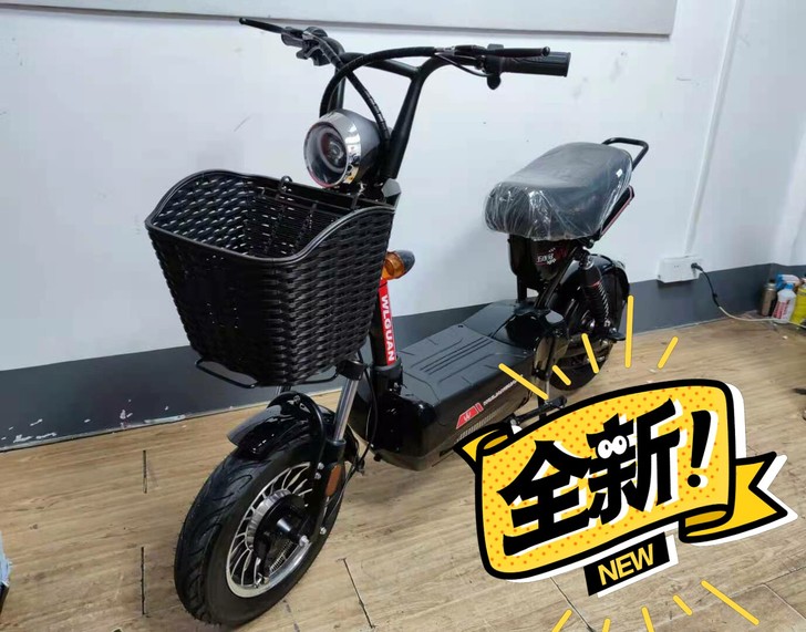 全新绿牌国标电动车，钢管车，交警大队现挂本...