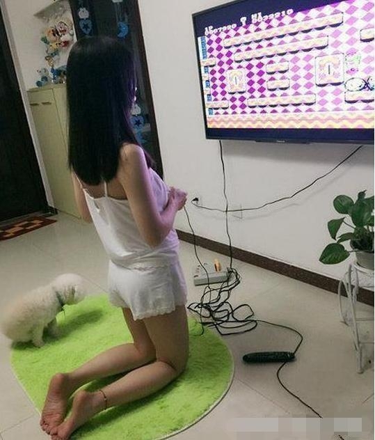 *电视游戏手柄,