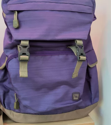 全新正品爱华仕双肩包旅游包质量非常好的一款...