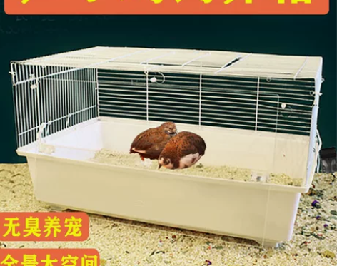 芦丁鸡专用笼芦丁鸡发酵床笼子鹌鹑小鸡宠物