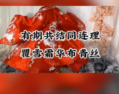 浮洛引家绝版汉服化龙归，刺绣精致，超多，有...