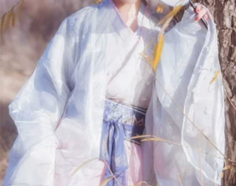 白芷魏晋风汉服仙女广袖流仙裙古装中国风齐腰...