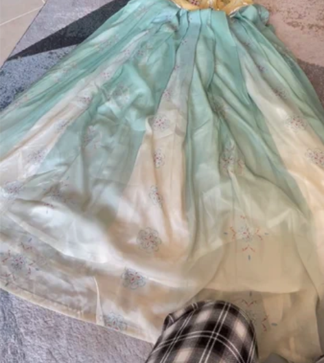 ?桔屿正品原创汉服女诃子裙【簪花】大袖衫唐...