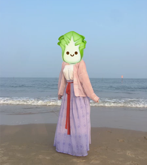 茗月萱宋制一套如图 感兴趣的话点“我想要”...