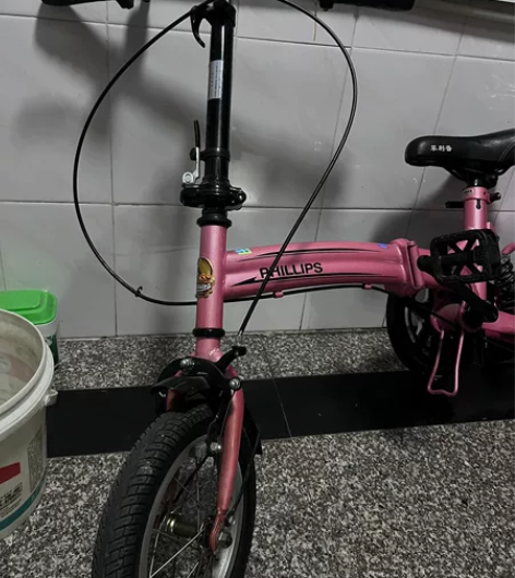 洗洗和新的一样 菲利普折叠自行车原价100...