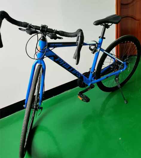 菲利普公路自行车铝合金双碟刹 S600铝合...