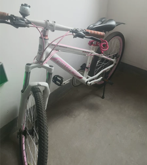 24自行车,孩子上学,新旧看图,自提 感兴...