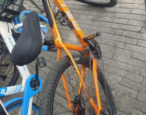 菲利普山地自行车，29寸33速，99新买到...