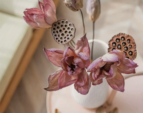 全天然荷花真莲花花束