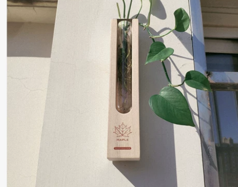 挂壁木制玻璃花瓶水培器皿绿植插花民宿样板间...