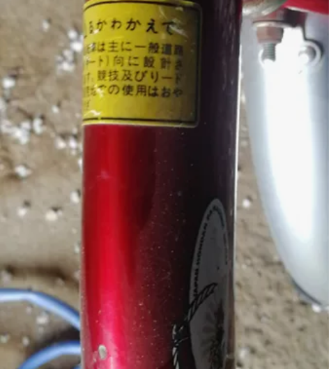 朋友送的红色折叠自行车，不是国产的，都是日...