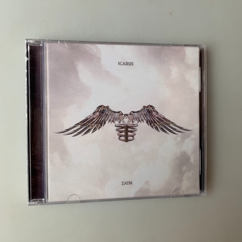 Zayn Icarus Falls