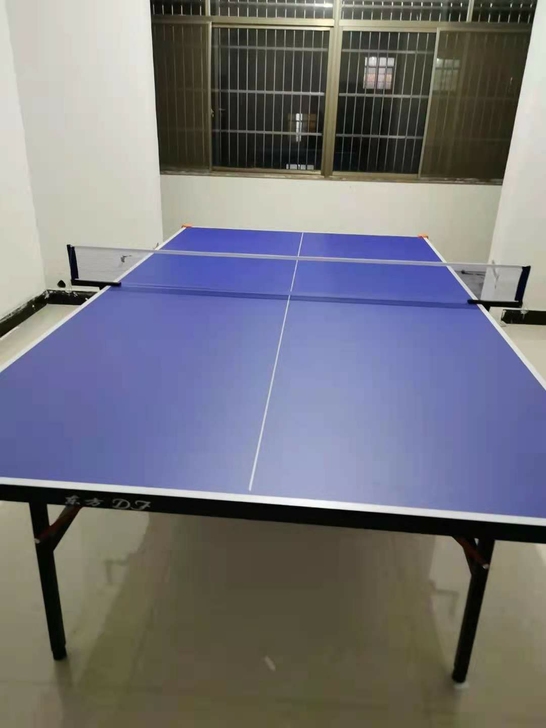 全新的包邮价！国标尺寸！乒乓球桌球台成人室...