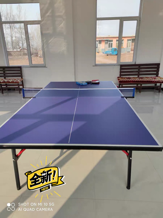 闲置特价处理 乒乓球桌球台室内家用可折叠移...