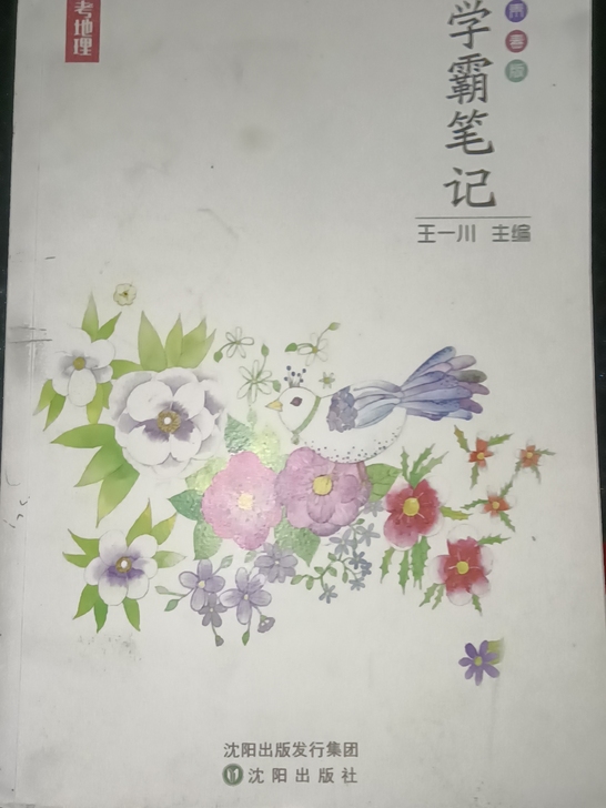 学霸笔记，高考地理，笔记一类的图书，除了封...