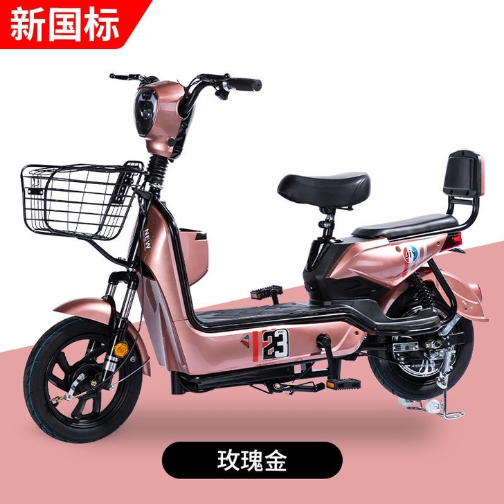 工厂直发，新国标电动车女士雅迪爱玛同款电瓶...