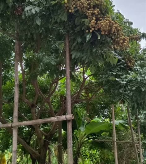 迷彩服出售 感兴趣的话点“我想要”和我私聊...