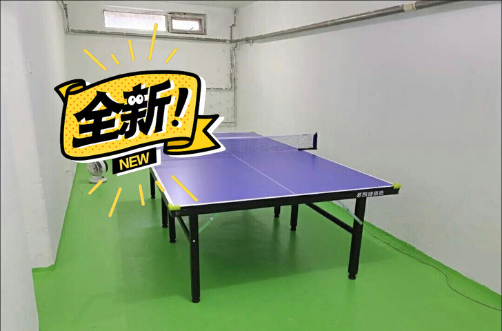 乒乓球台室内室外 标准版 家用比赛专业可移...