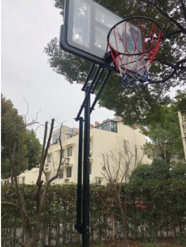 篮球架类型：全新成人青少年球架可升降 篮球...