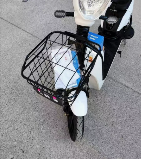 全新飞鸽新国标电动车成人电动自行车48V小...