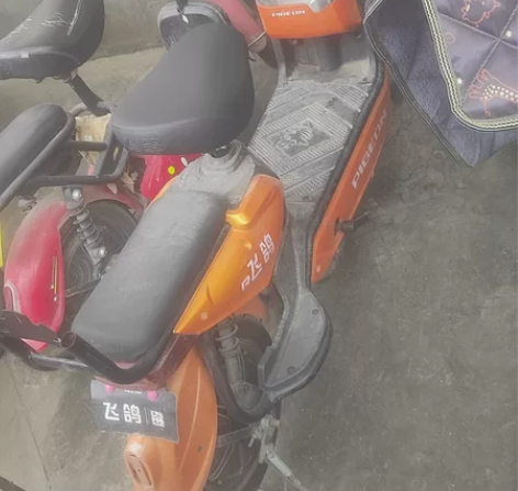 飞鸽牌电动车，去年1600买的，让老人接送...