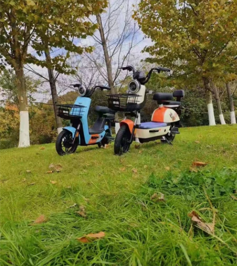 电动车电瓶车酷车，新国标电动车二手同城送货...