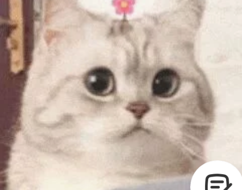 python代码讲解 项目讲解Django