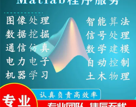MATLAB各种算法仿真算法设计代码实现算...