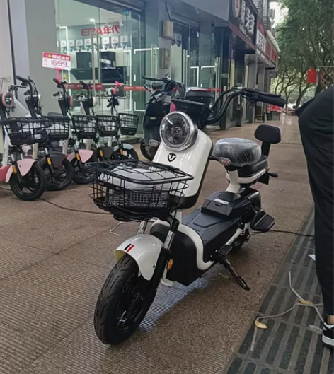 台铃电动车型号是潮迈 买了几天，由于工作的...