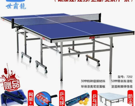台湾世霸龙 标准乒乓球台家用乒乓球桌…二手...