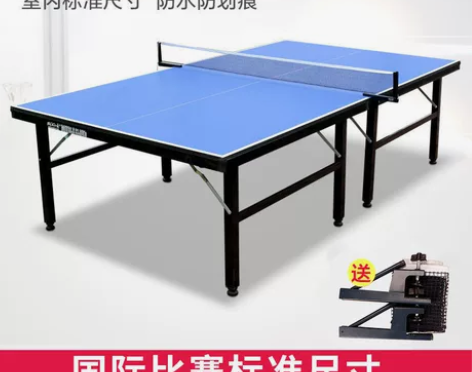 运动乒乓球桌 室内家用可折叠 便捷式球台 ...