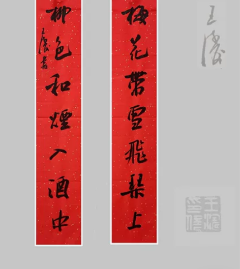 王涛   十二届十届九届国展获奖实力派书法...