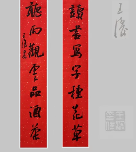 王涛   十二届十届九届国展获奖实力派书法...