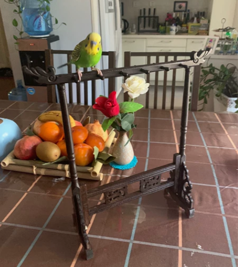 三鑫笔庄仿古鸡翅木龙头笔架6针12挂毛笔笔...