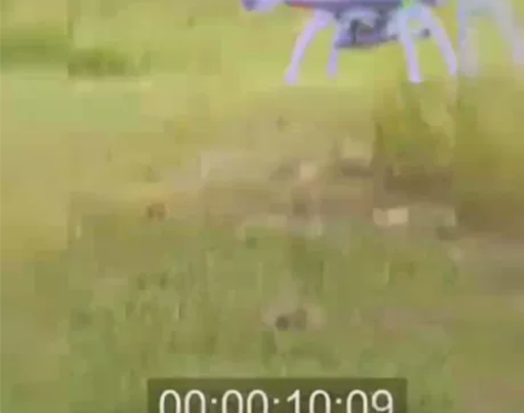 55元包邮！司马航模x5sc 遥控飞机 s...