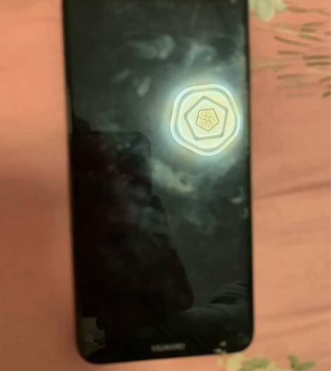 自己用的一台华为麦芒六，成色还行，本机支持...