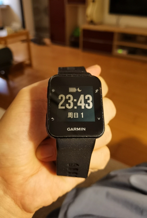佳明garmin   forever runner35
