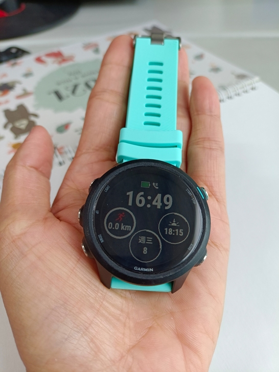 佳明（GARMIN）Forerunner ...