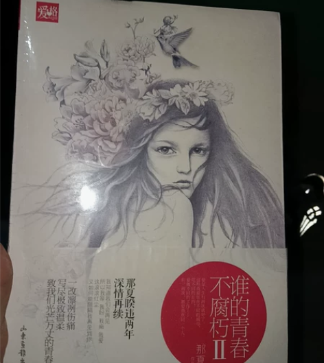 谁的青春不腐朽II，全新的未拆封不包邮 感...