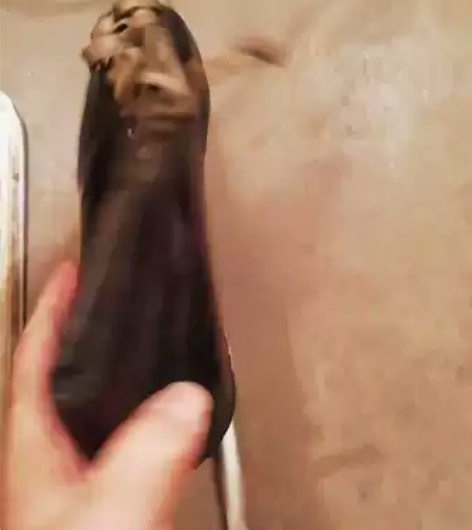 38号速滑牛皮面冰鞋八成新，刀体和刀面涂抹...