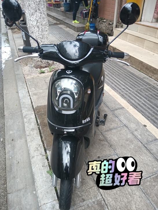 台铃,国标电动车,48V15A,锂电池,电...