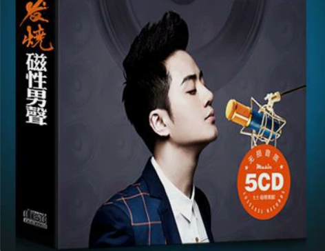 发烧cd碟片HIFI人声低音炮赵鹏江智民试...