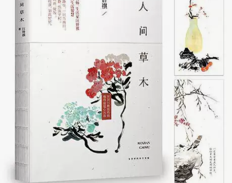 人间草木  散文书籍散文集汪曾祺经典散文集当代随笔 尾货清仓...