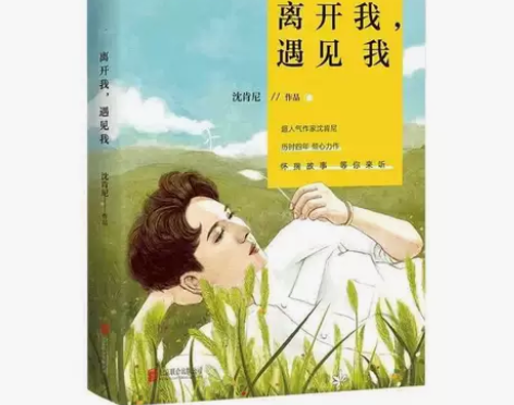 离开我，遇见我 外国随笔/散文集 沈肯尼 ...