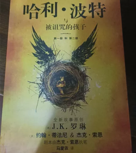 崭新的《哈利波特与被诅咒的孩子》 书店买的...