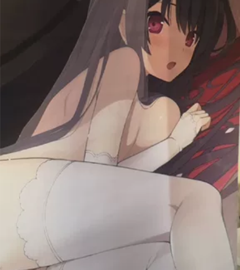 鸢泽美咲婚纱的挂画，在煤炉上入的，全新国内...