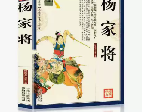 杨家将正版书籍原著杨家将传 杨家将 国学经...